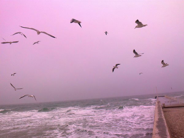 Ирина Клондайк