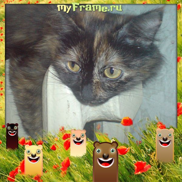 Ольга Захарова