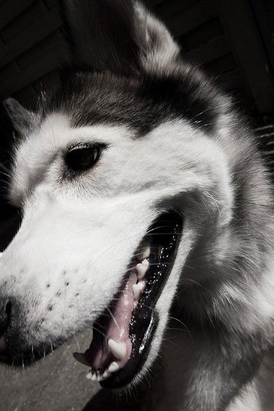 Александр Миллер