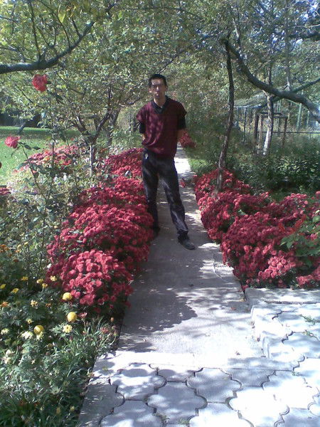 Шамиль Ли-Шу-Ли