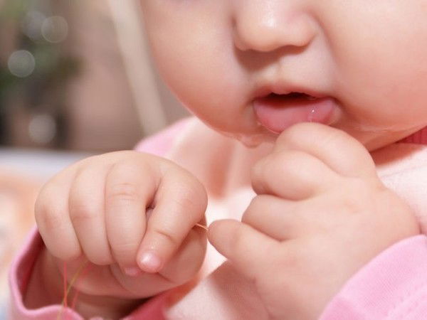 Катерина Шибакова