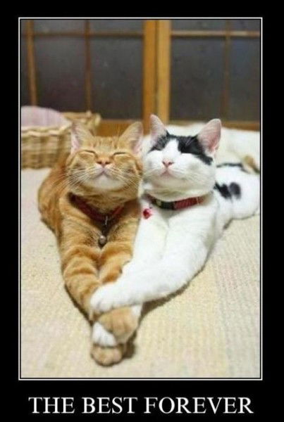 Галина Лукьяненко