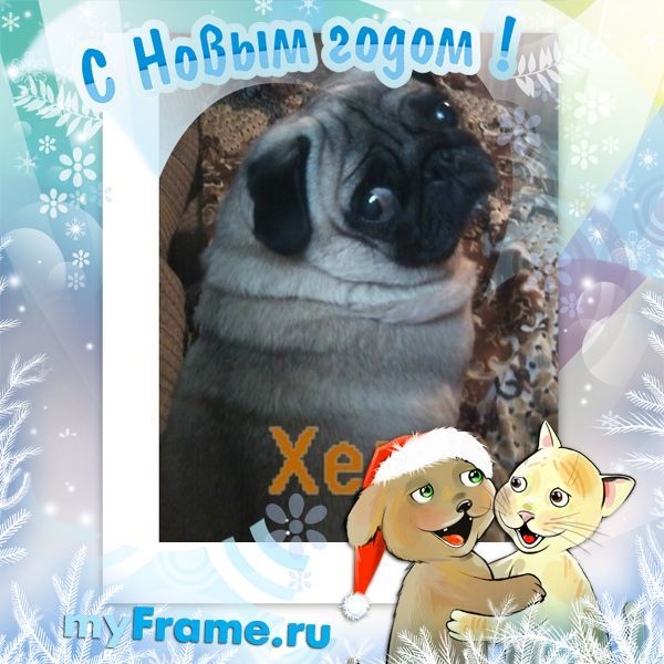 Ольга Стариченкова