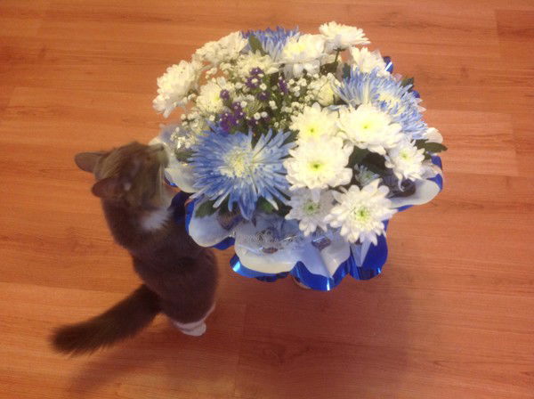 Лилия Маркина