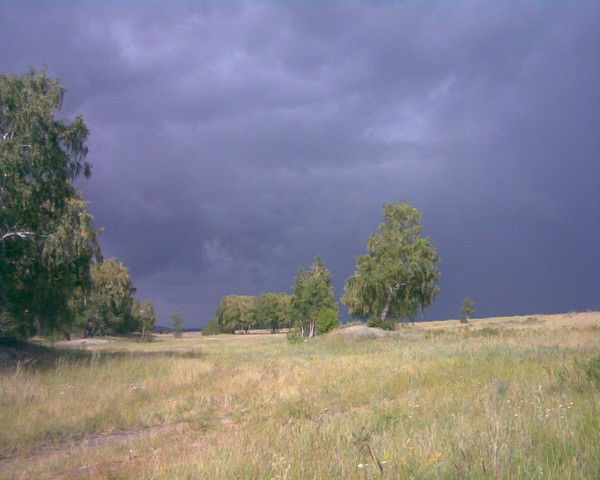 Максим Максим