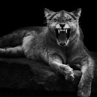 Катя Варфоломеева