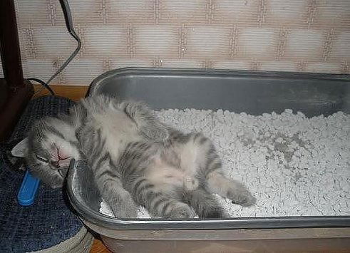 Михаил Романов