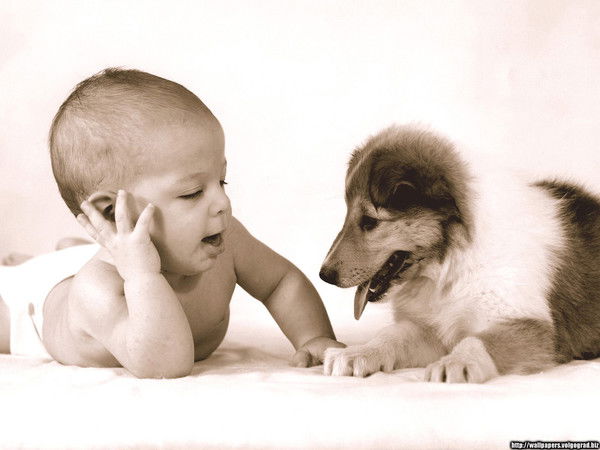 Иван Иванов