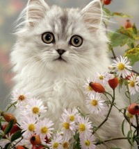 Настя Мильченко