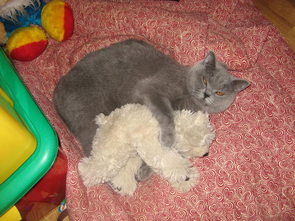 Наталья Лаврякова