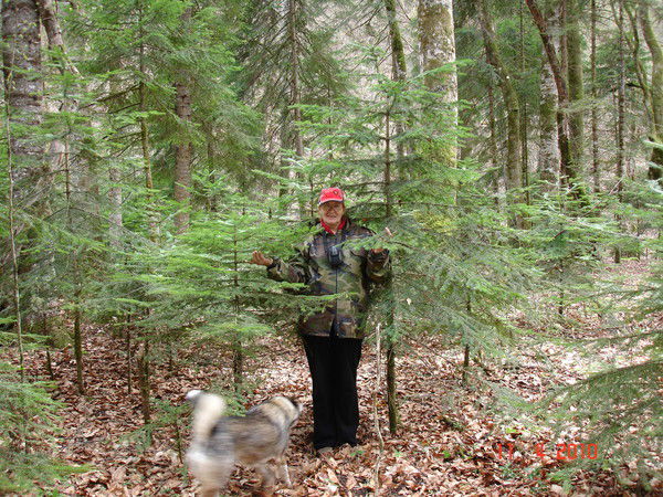 Наталья Сотникова