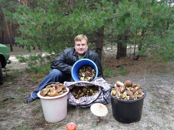 Анатолий Давыденко