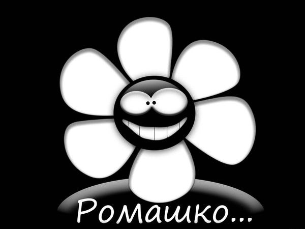 Роман Данилов