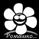 Роман Данилов