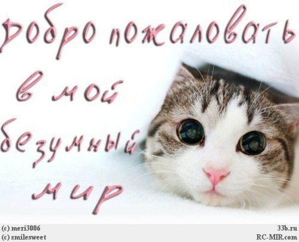 Марина Деева