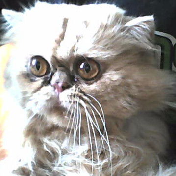 Саня Григорьев