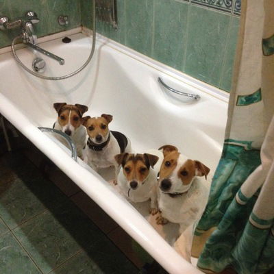 Андрей Кузин