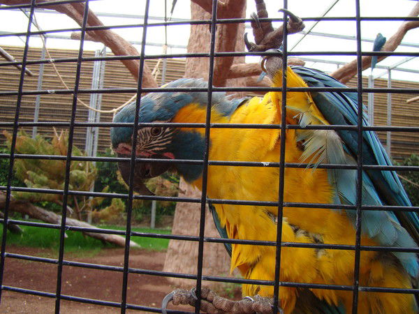 Ирина Шпунт