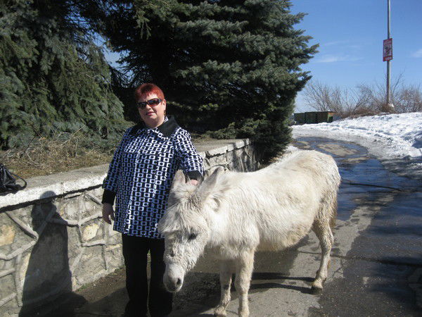 Людмила Корнеева