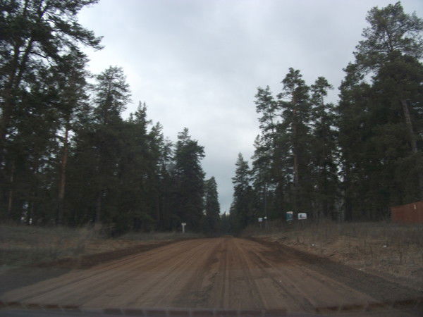 Людмила Гаврилова(Ширнина)