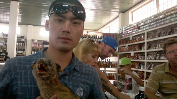 Жанат Умиров