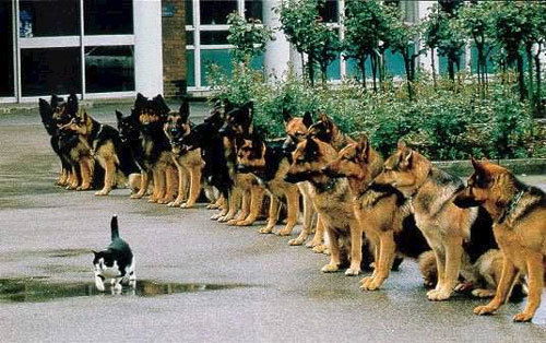 Юля Филиппова