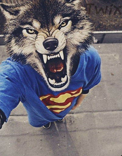 Максим Волков