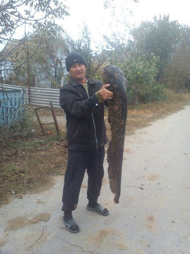 Николай Мотрыч