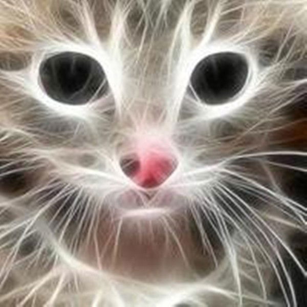 Вячеслав Меркулов