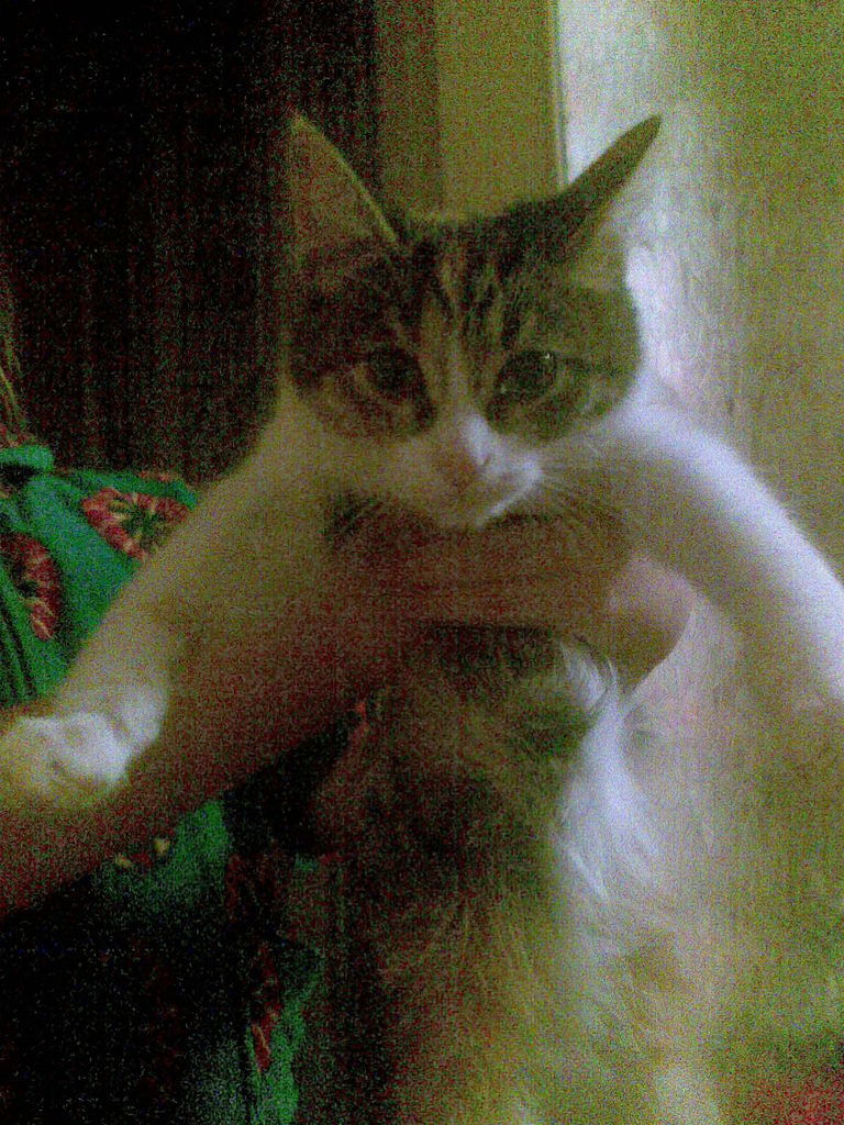 Саня Самарин