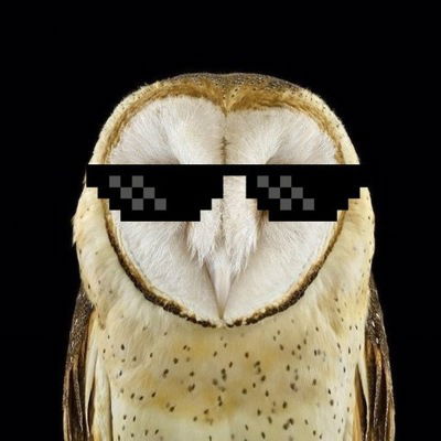 Данил Харьков