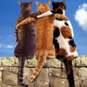 Саша Иванов