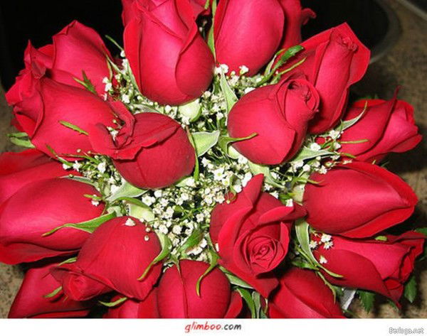 Елена Коминова