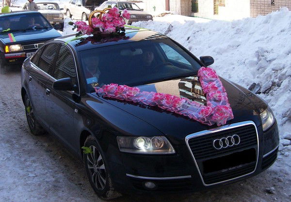 Дмитрий Николаев