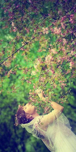 Дарья Шелухина