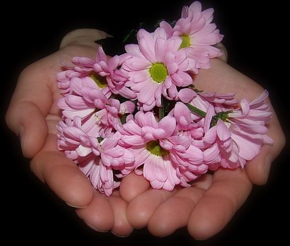 Анастасия Потеряева