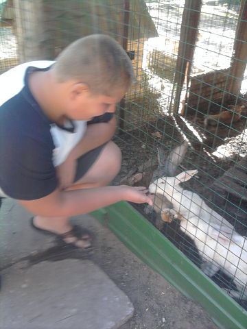 Илья Ельцов