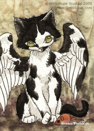 Ряска Болотная Звезда