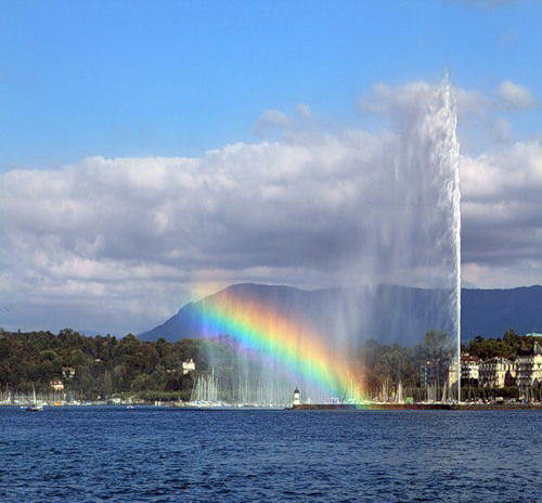 Евгений Шевченко