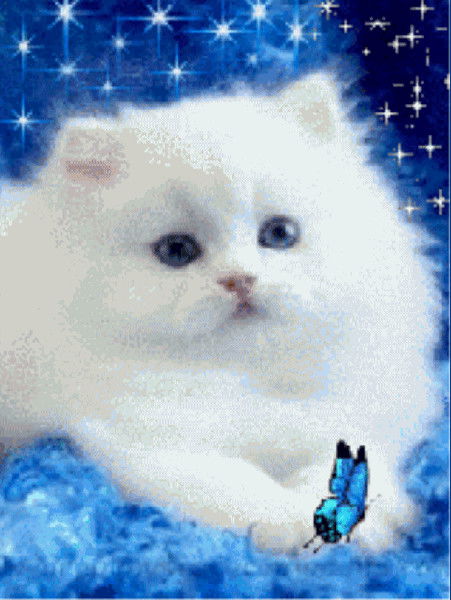 Larochka Guravleva Клонд