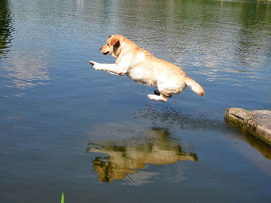 Катерина Гольнева