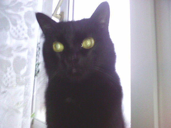 Юлия Ткаченко