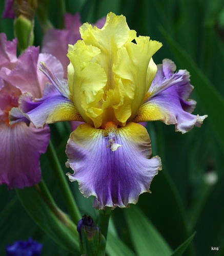 Надежда Малыгина