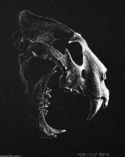 Евгений Тандер