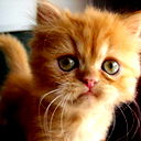 Тюрина Светлана