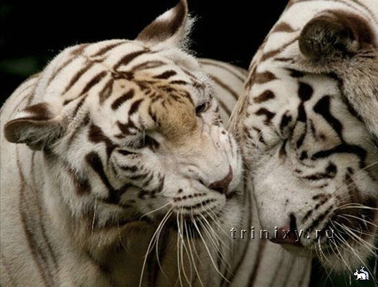 Юлька Красотулька