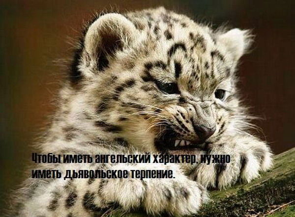 Наталья Самковская