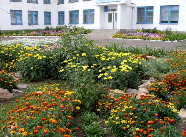 Валентина Дильдебаева