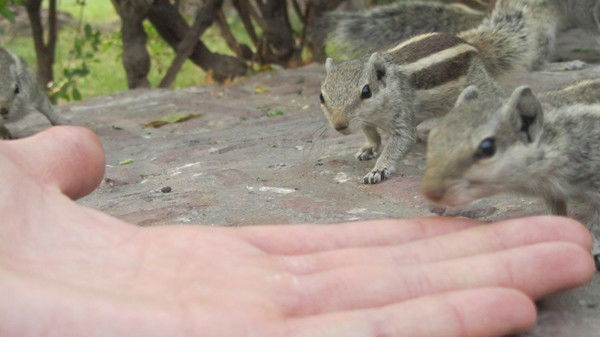 Улан Кененбаев