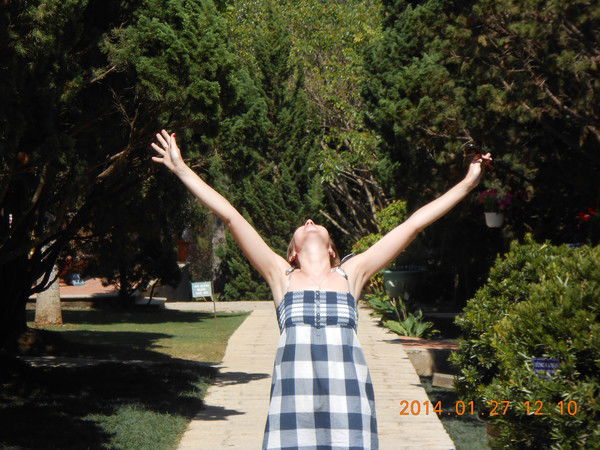 Елена Сорокина